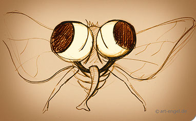 Programmheft 2012/13 und 2013/14 Städtekooperation